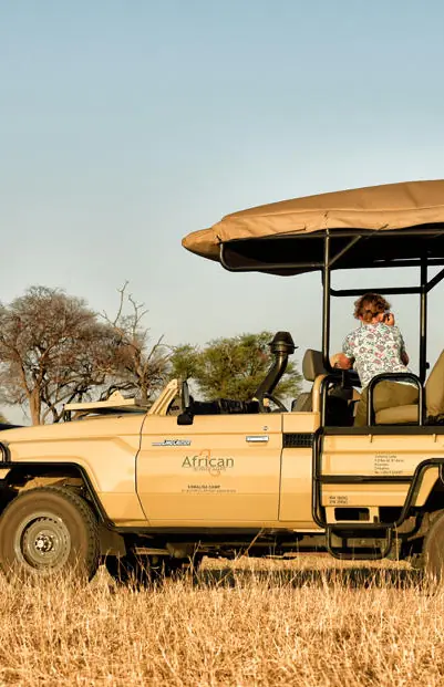 Safari vehicle with passengers observing elephants in savanna, Somalisa Expeditions, Hwange National Park, Zimbabwe