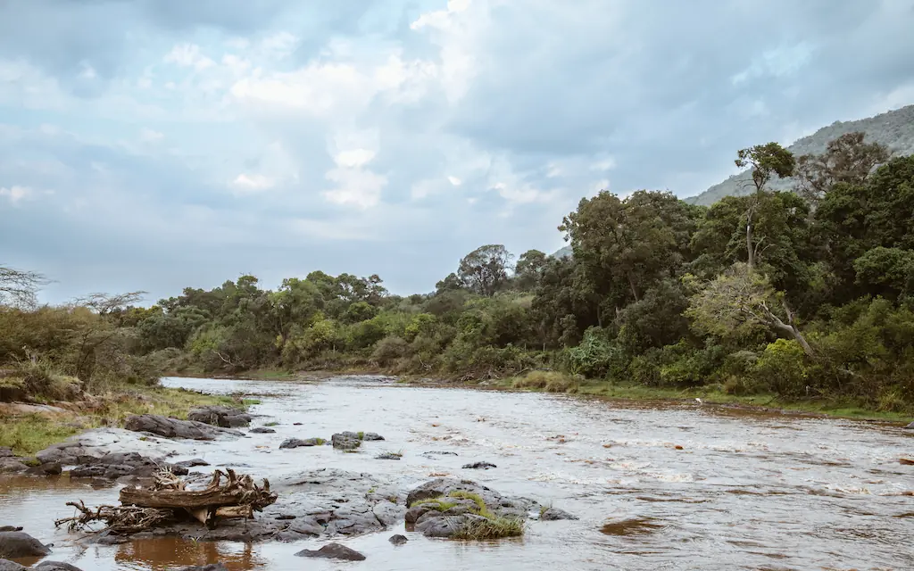River flowing through woodland with rocky outcrops and vegetation, Speke’s Camp, Maasai Mara, Kenya