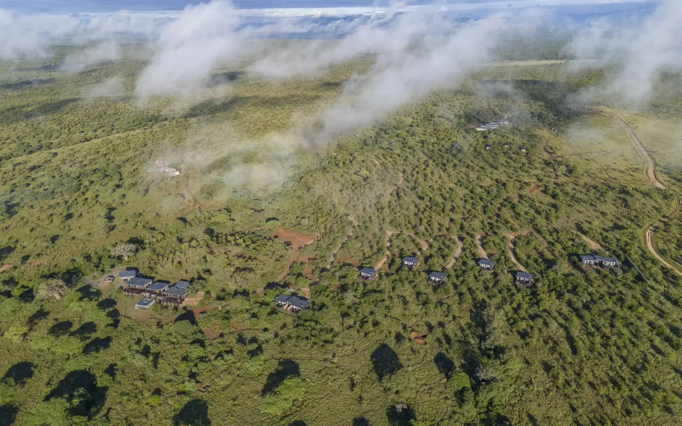 Aerial view of luxury safari lodge nestled among forested landscape with mist, Tarangire Elephant Springs, Tarangire National Park, Tanzania