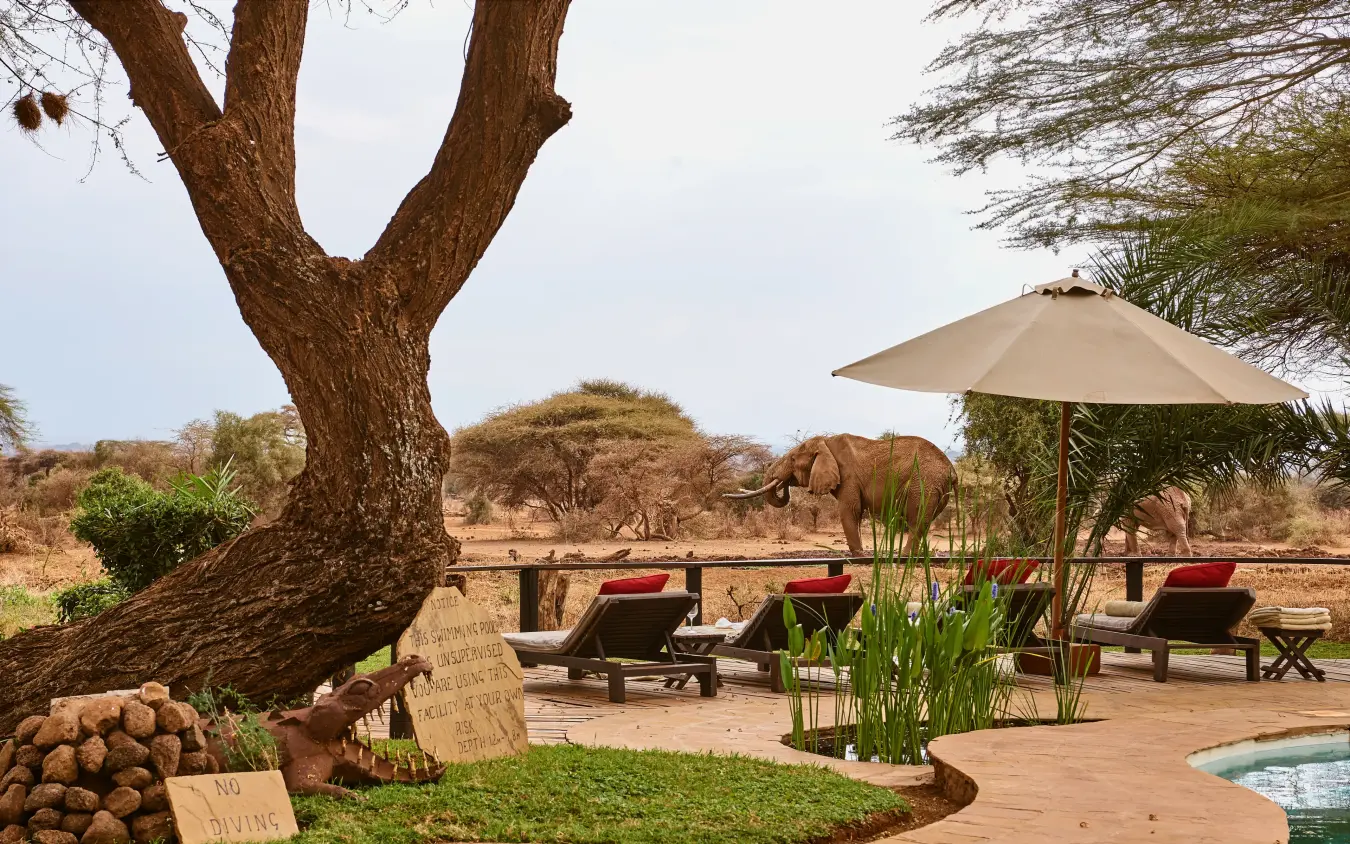 Safari lodge deck with loungers, umbrella, and elephants grazing, Tawi Lodge, Amboseli and Chyulu Hills, Kenya