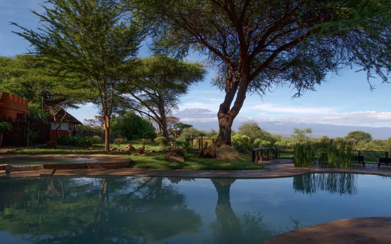 Lodge grounds with pool, acacia trees and mountain view, Tawi Lodge, Amboseli and Chyulu Hills, Kenya
