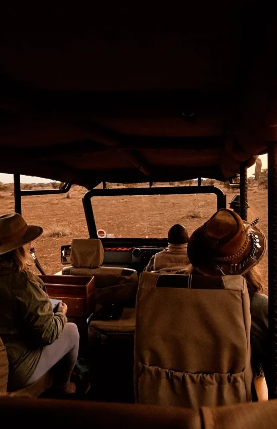 Guests on open safari vehicle at golden hour sunset, Tawi Lodge, Amboseli and Chyulu Hills, Kenya