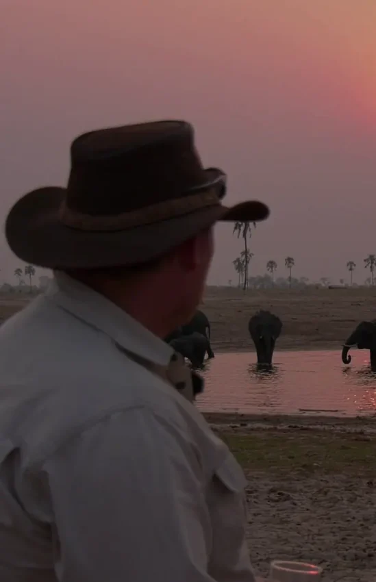 Man in cowboy hat observing elephants bathing at waterhole at dusk, The Hide, Hwange National Park, Zimbabwe