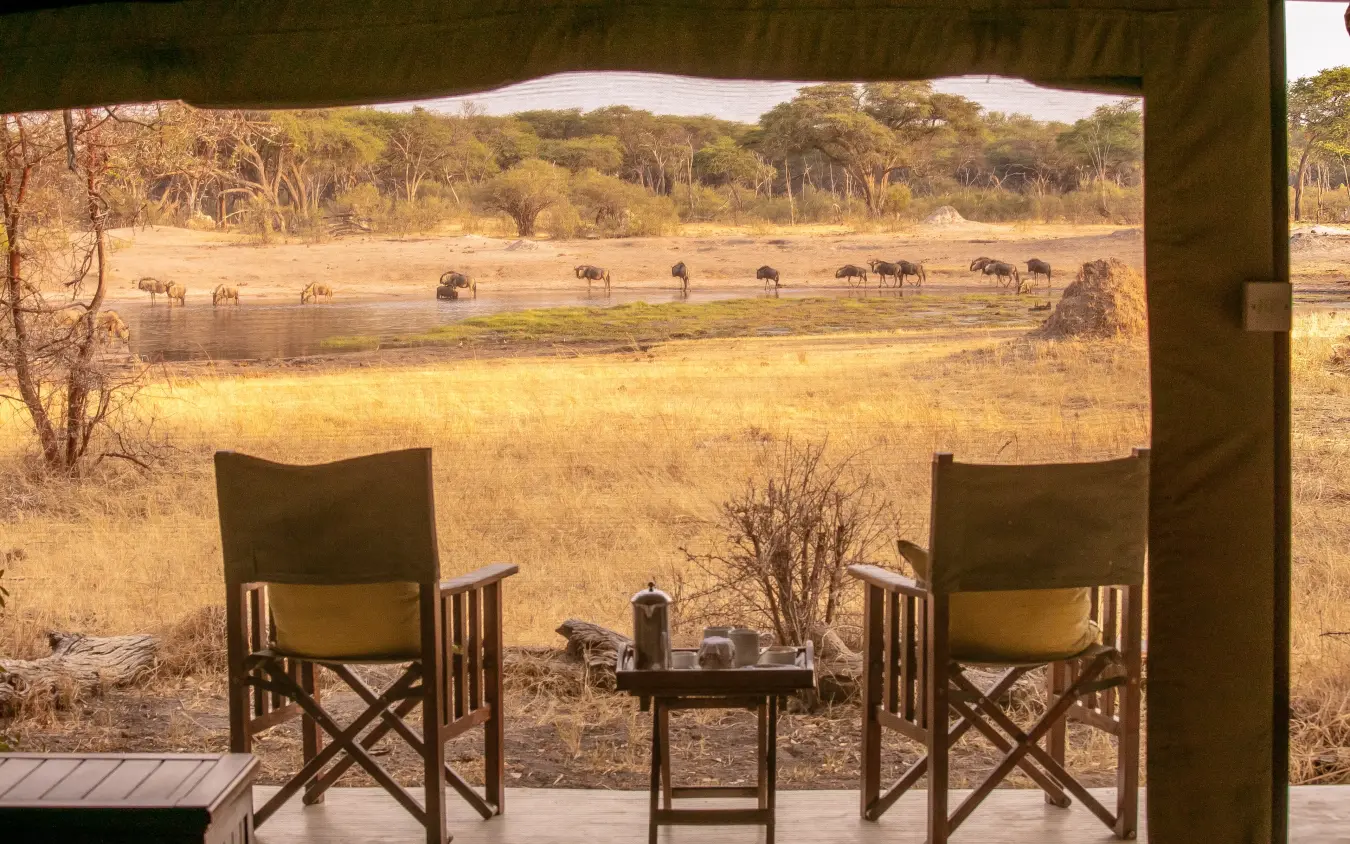 Viewing platform with canvas canopy overlooking waterhole and wildlife herd, The Hide, Hwange National Park, Zimbabwe