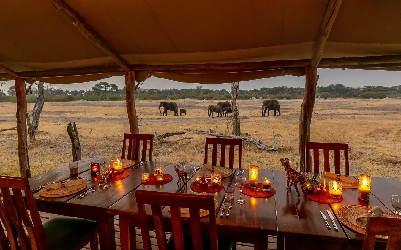 Dining table under canvas canopy with elephants grazing in distant savanna, The Hide, Hwange National Park, Zimbabwe