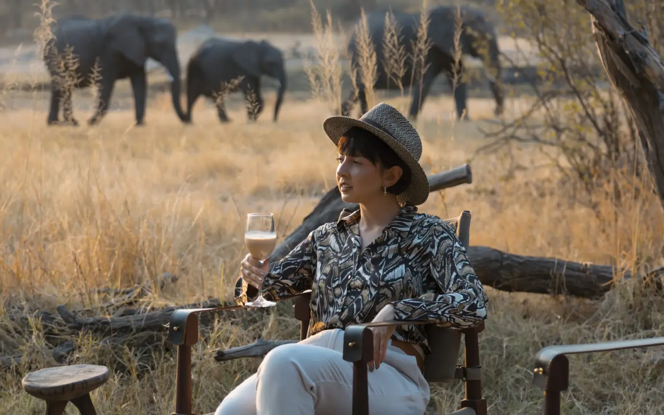 Woman enjoying wine while observing elephants from camp chair at sunset, The Hide, Hwange National Park, Zimbabwe