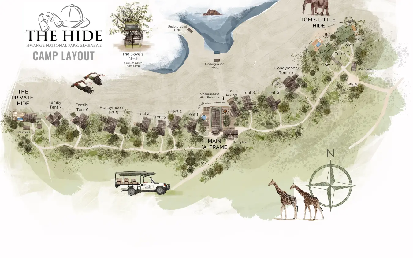 Illustrated camp layout map with safari vehicle and giraffes in grassland, The Hide, Hwange National Park, Zimbabwe