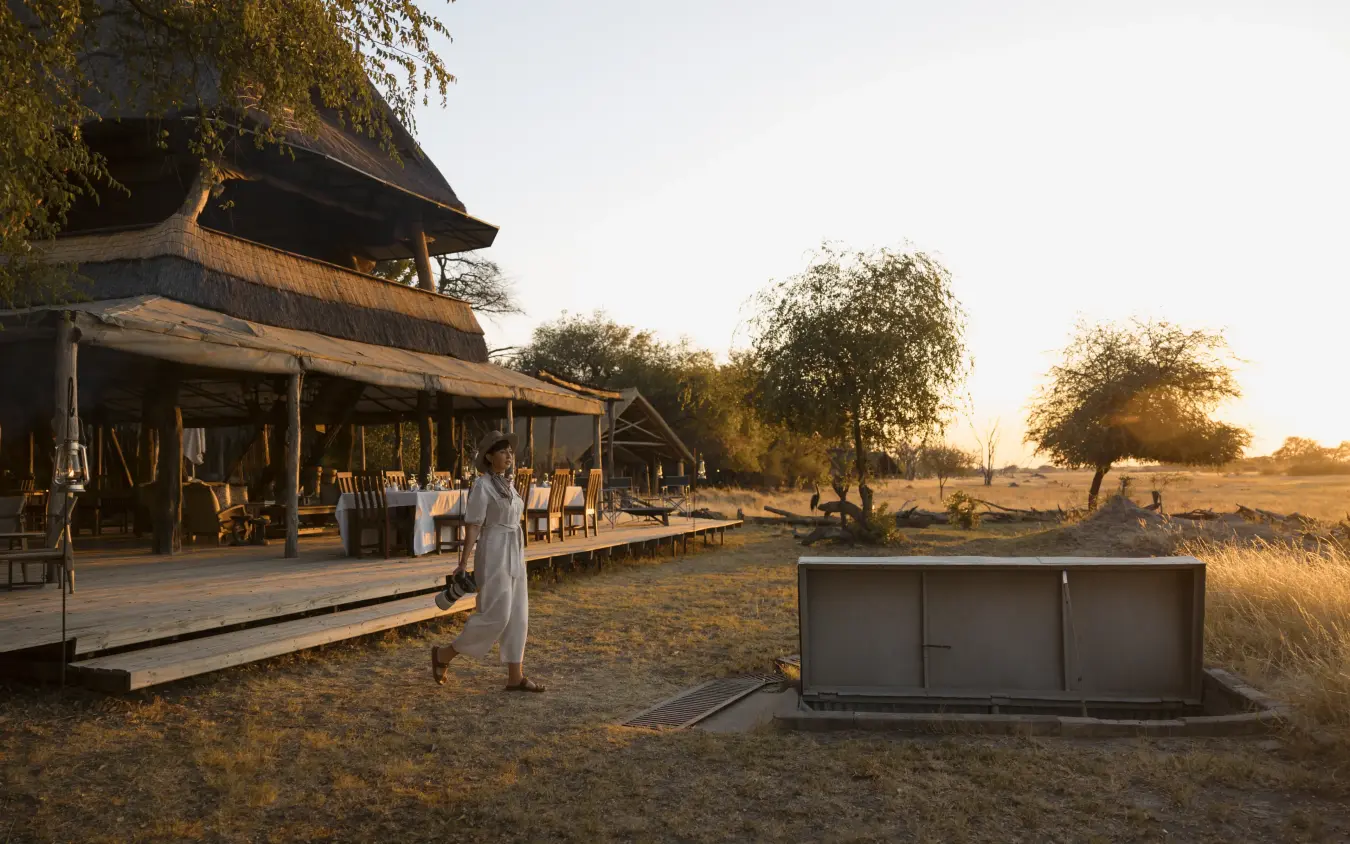 Safari camp with thatched lodge and guests at sunset in savanna landscape, The Hide, Hwange National Park, Zimbabwe
