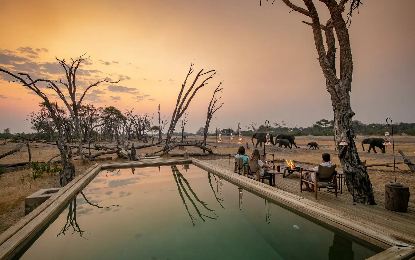 Infinity pool reflecting dead trees with elephants grazing at sunset, The Hide, Hwange National Park, Zimbabwe