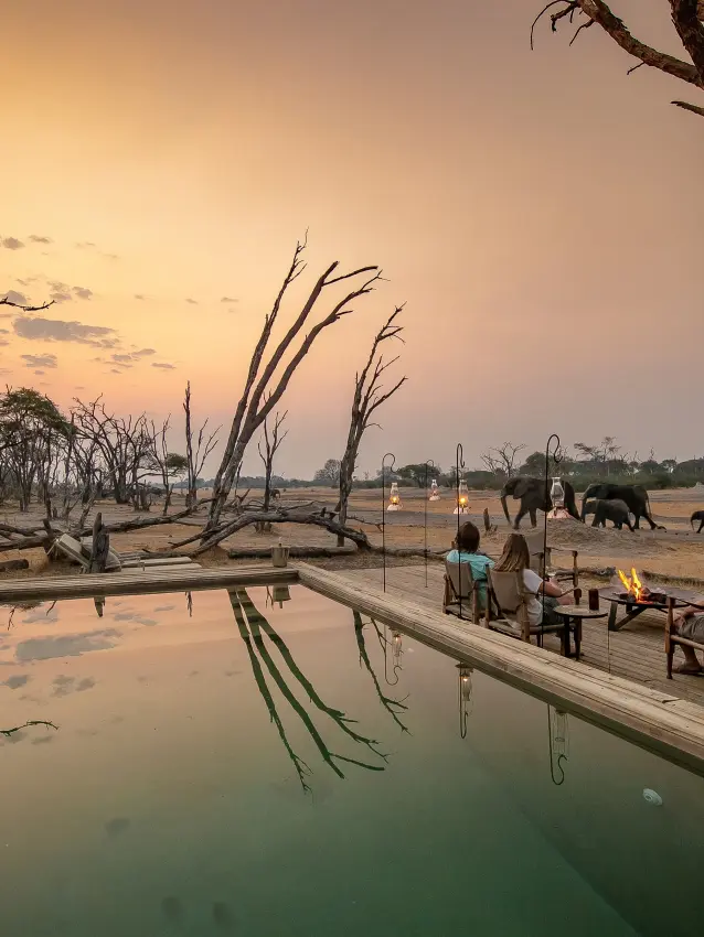 Infinity pool reflecting dead trees with elephants grazing at sunset, The Hide, Hwange National Park, Zimbabwe