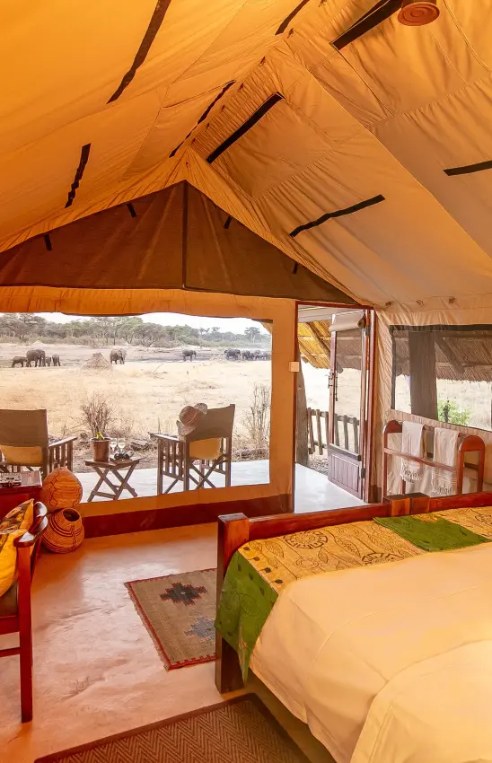 Luxury safari tent interior with savanna view and elephants grazing in distance, The Hide, Hwange National Park, Zimbabwe
