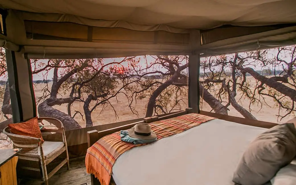 Bedroom with panoramic windows overlooking acacia woodland landscape, The Hide, Hwange National Park, Zimbabwe