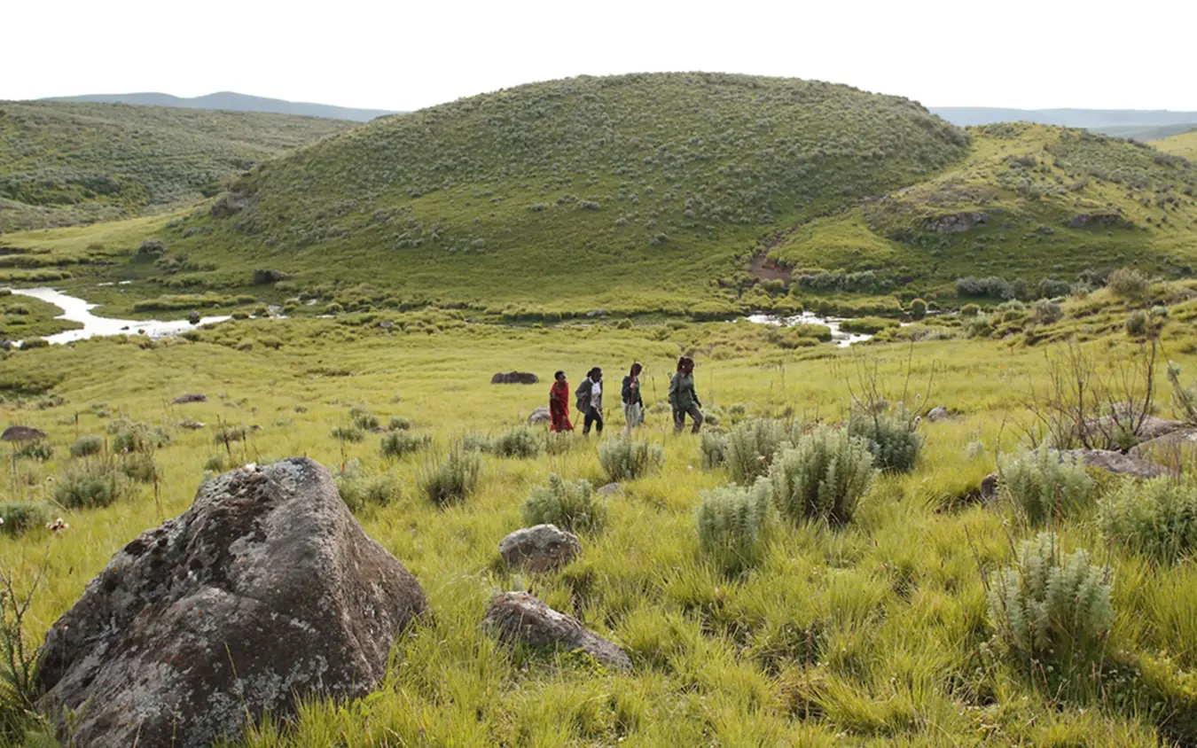 Hikers walking through grassland with volcanic mountain backdrop, The Highlands, Ngorongoro Crater, Tanzania
