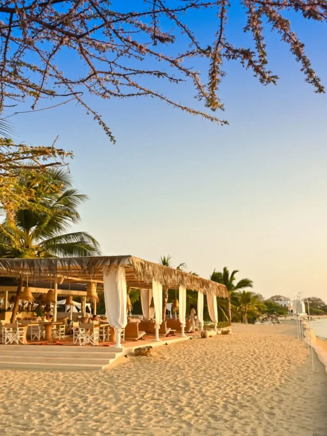 Beach lodge with thatched structures and waterfront at sunset, The Majlis Resort, Lamu Archipelago, Kenya