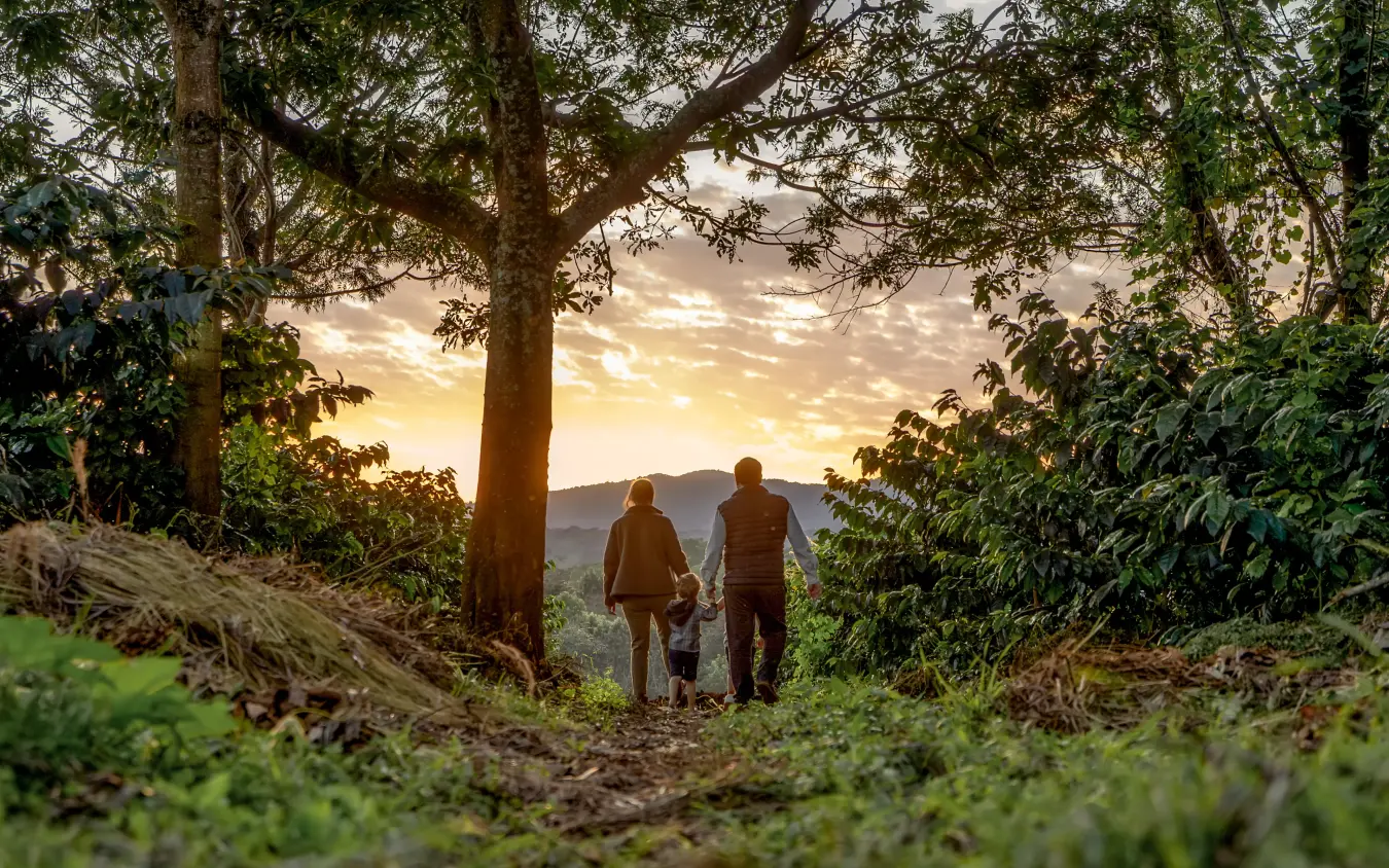 Family hiking through forested hillside at sunset with mountain vista, The Manor at Ngorongoro, Ngorongoro Crater, Tanzania