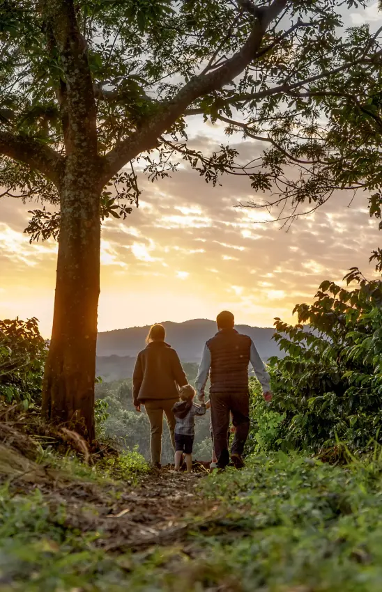 Family walking on forest trail at sunset with mountain valley view, The Manor at Ngorongoro, Ngorongoro Crater, Tanzania