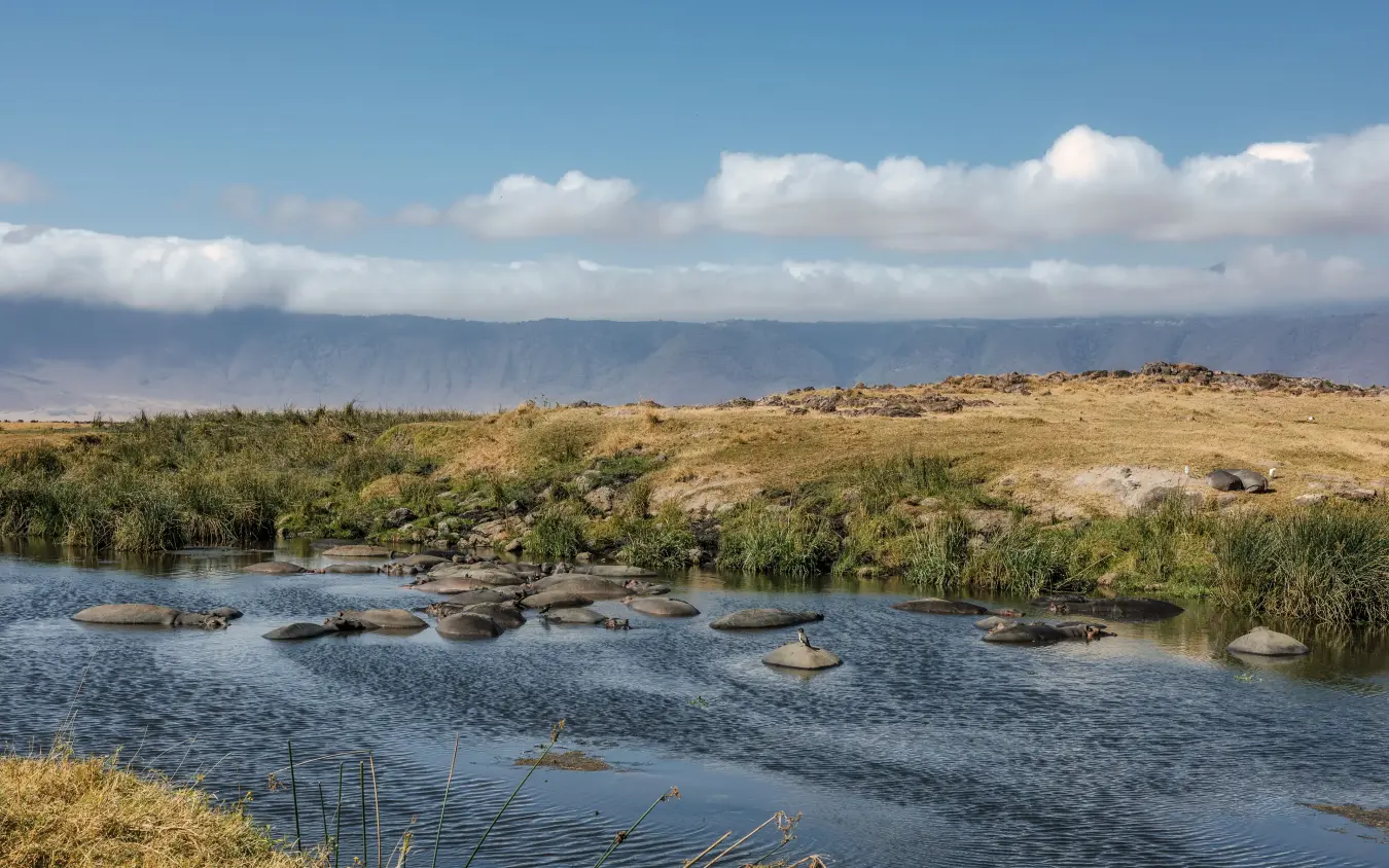 River with boulders and reeds flanked by arid grassland and mountains, The Manor at Ngorongoro, Ngorongoro Crater, Tanzania