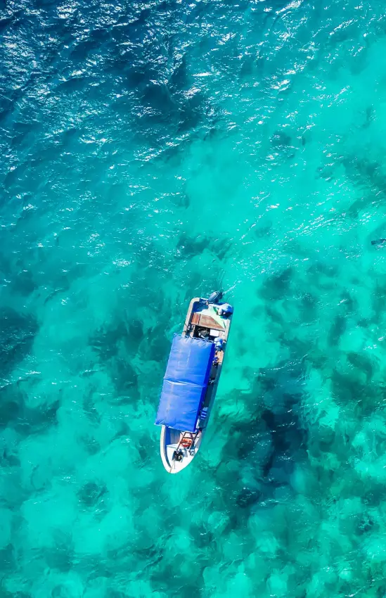 Aerial view of boat with snorkelers over coral reef, The Manta Resort, Zanzibar & Pemba, Tanzania