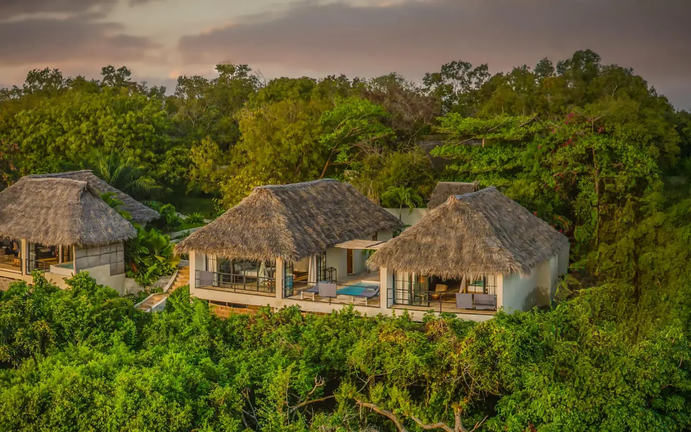 Thatched-roof bungalows nestled among dense green forest canopy, The Manta Resort, Zanzibar & Pemba, Tanzania