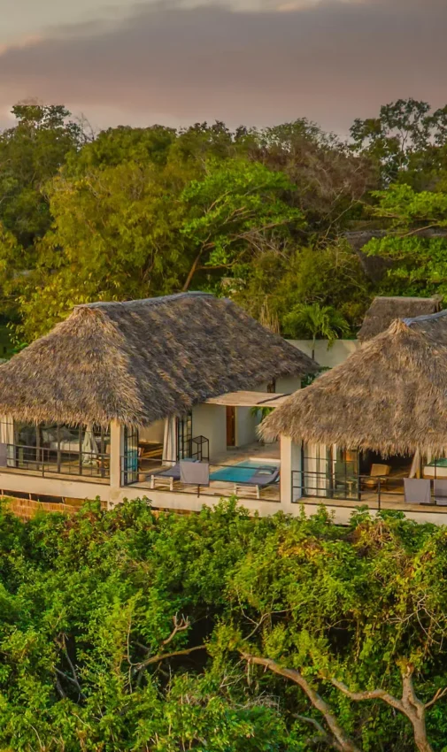 Thatched-roof bungalows nestled among dense green forest canopy, The Manta Resort, Zanzibar & Pemba, Tanzania