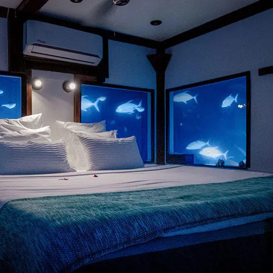 Bedroom with underwater views of swimming fish, The Manta Resort, Zanzibar & Pemba, Tanzania