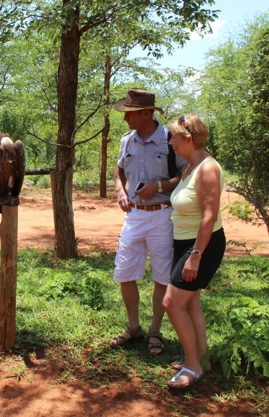 Visitors observe elephant during guided wildlife education tour, The Wallow Lodge, Hwange National Park, Zimbabwe