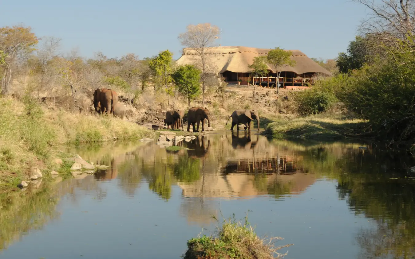 Elephants drinking at waterhole with lodge in background, The Wallow Lodge, Hwange National Park, Zimbabwe