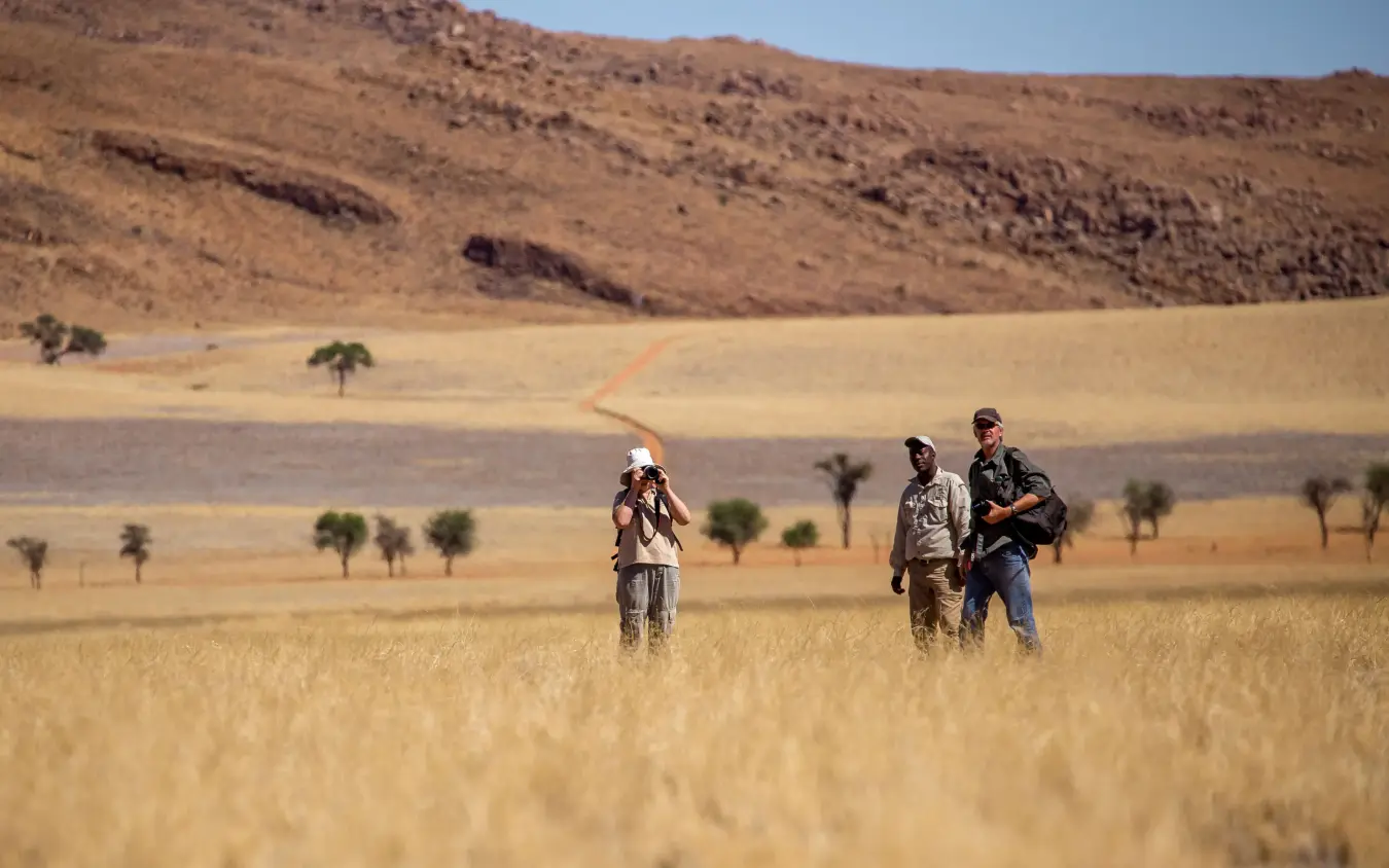 Guides walking with guests across desert landscape, Tok Tokkie Trails, NamibRand Private Reserve, Namibia