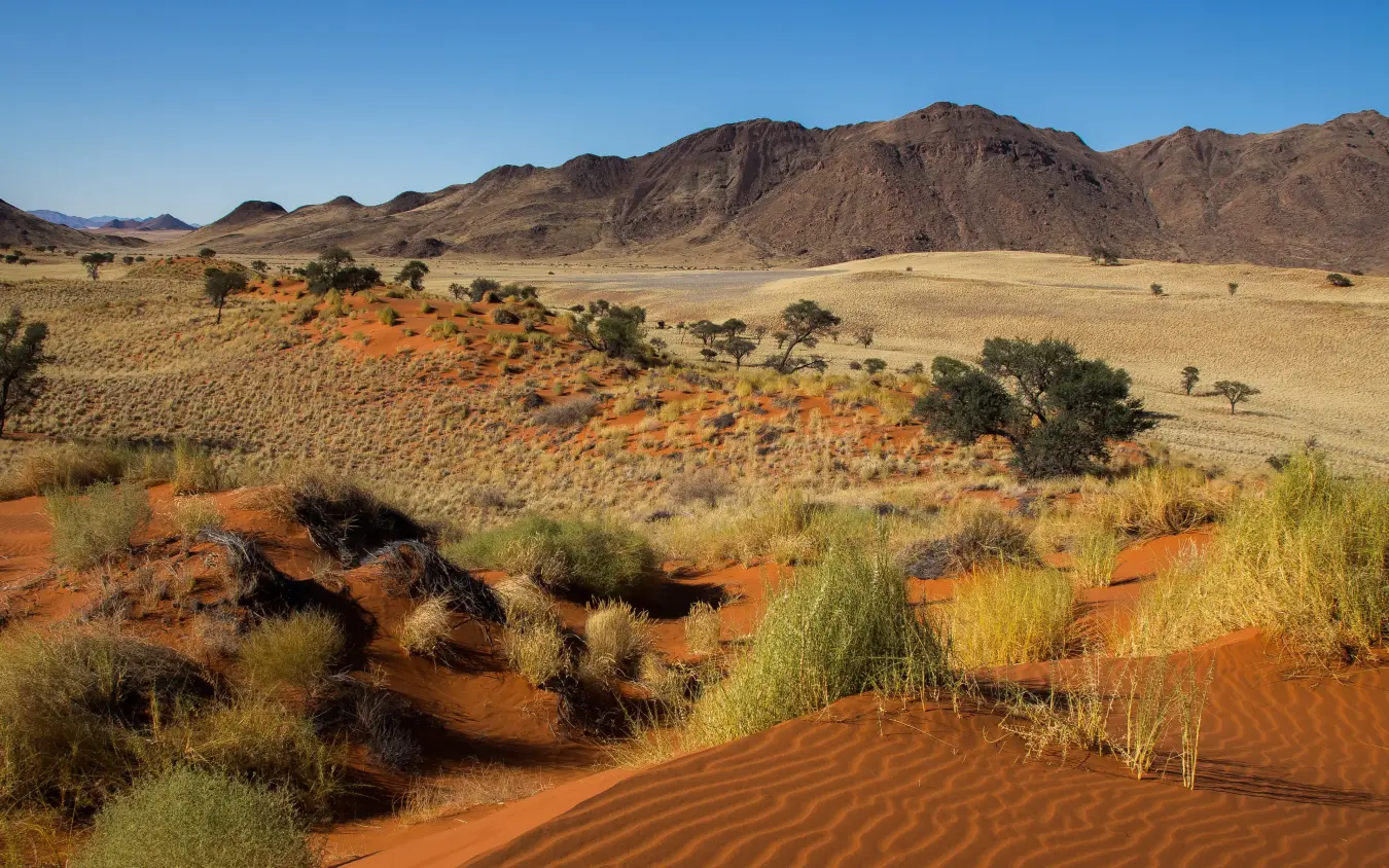 Red sand dunes with sparse vegetation and distant mountains, Tok Tokkie Trails, NamibRand Private Reserve, Namibia