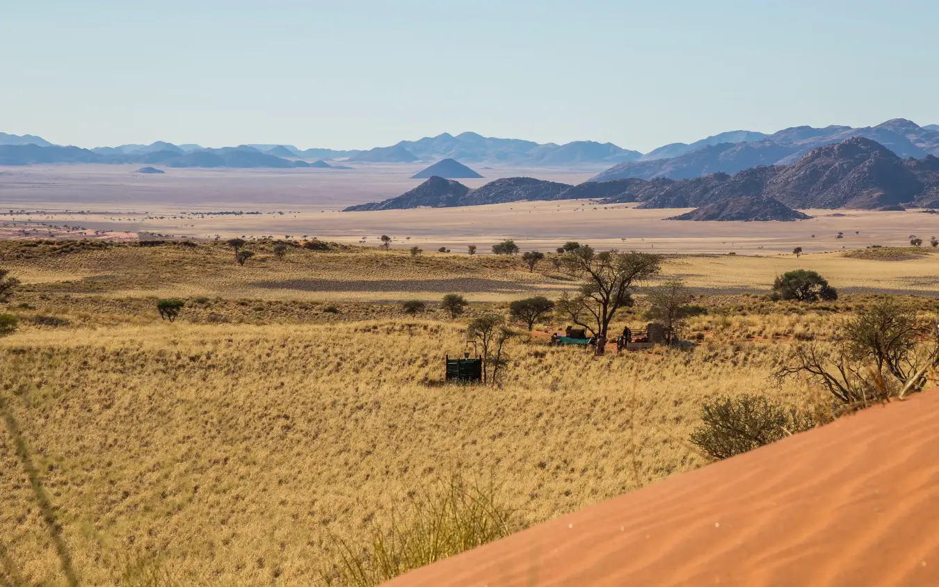 Wide savanna vista with scattered acacia trees and distant mountains, Tok Tokkie Trails, NamibRand Private Reserve, Namibia