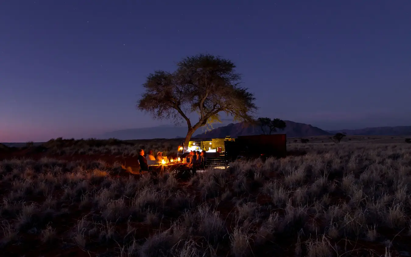Illuminated safari lodge beneath acacia tree at dusk, Tok Tokkie Trails, NamibRand Private Reserve, Namibia