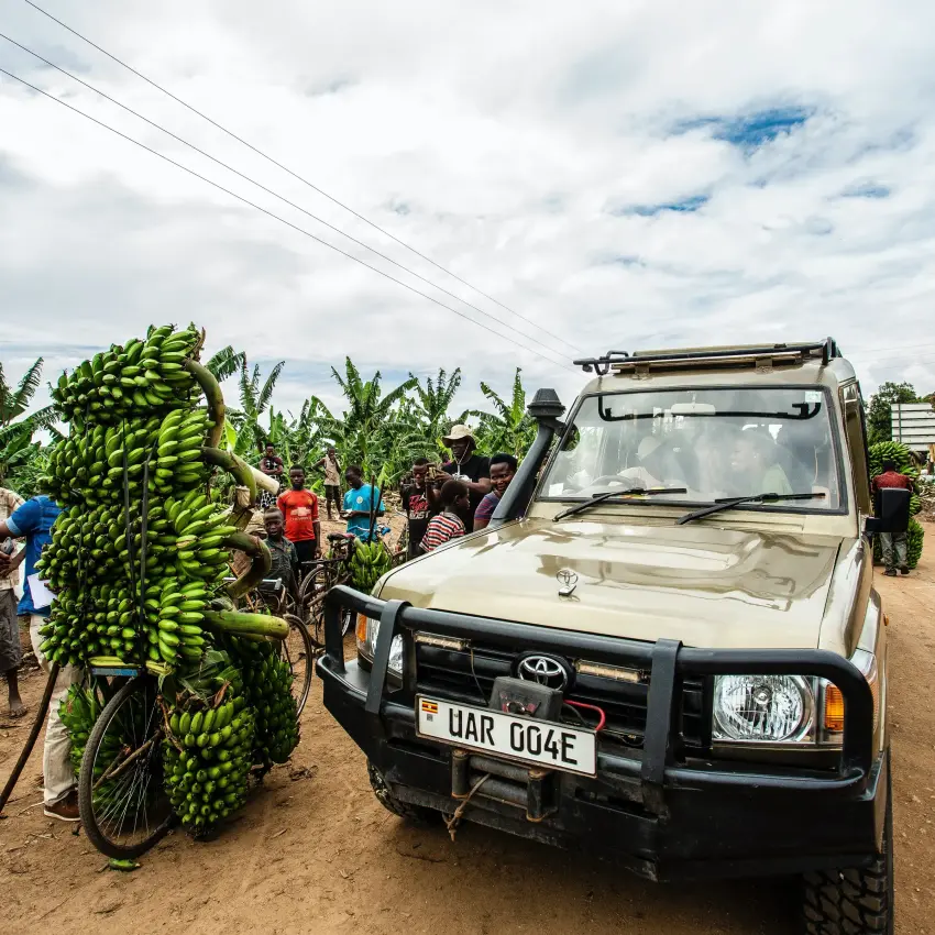 Locals selling green bananas beside a Toyota Land Cruiser on a Uganda dirt road