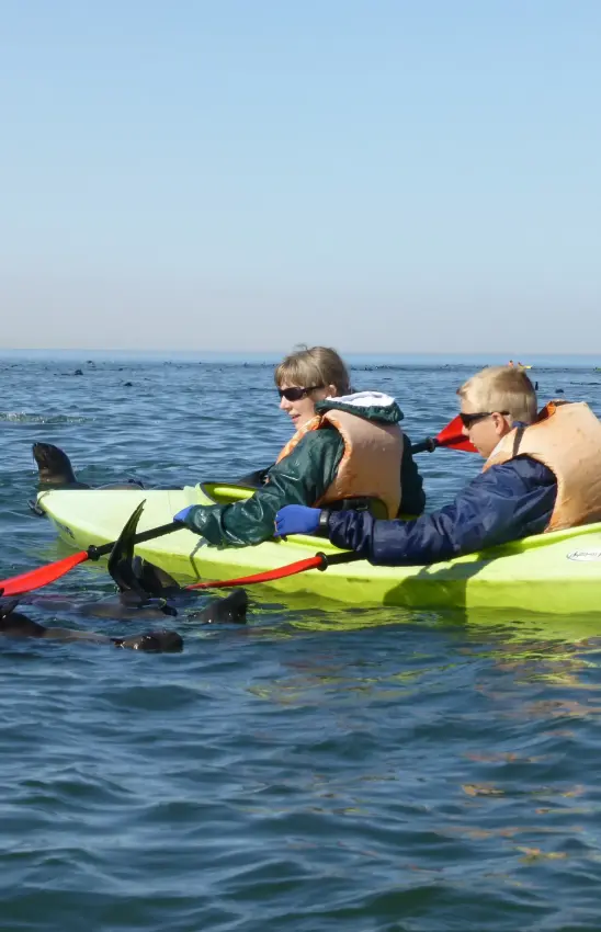 Children kayaking in shallow water with seals nearby, Swakopmund, Namibia