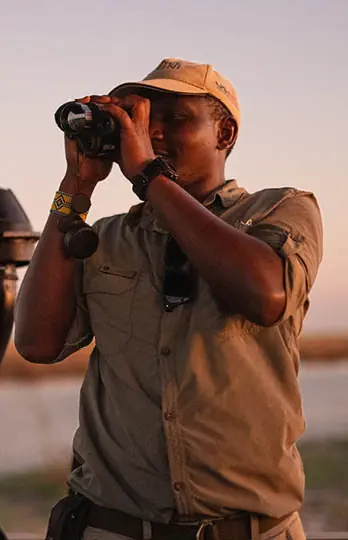 Guide using binoculars to observe wildlife at sunset, Usangu Expedition Camp, Ruaha National Park, Tanzania
