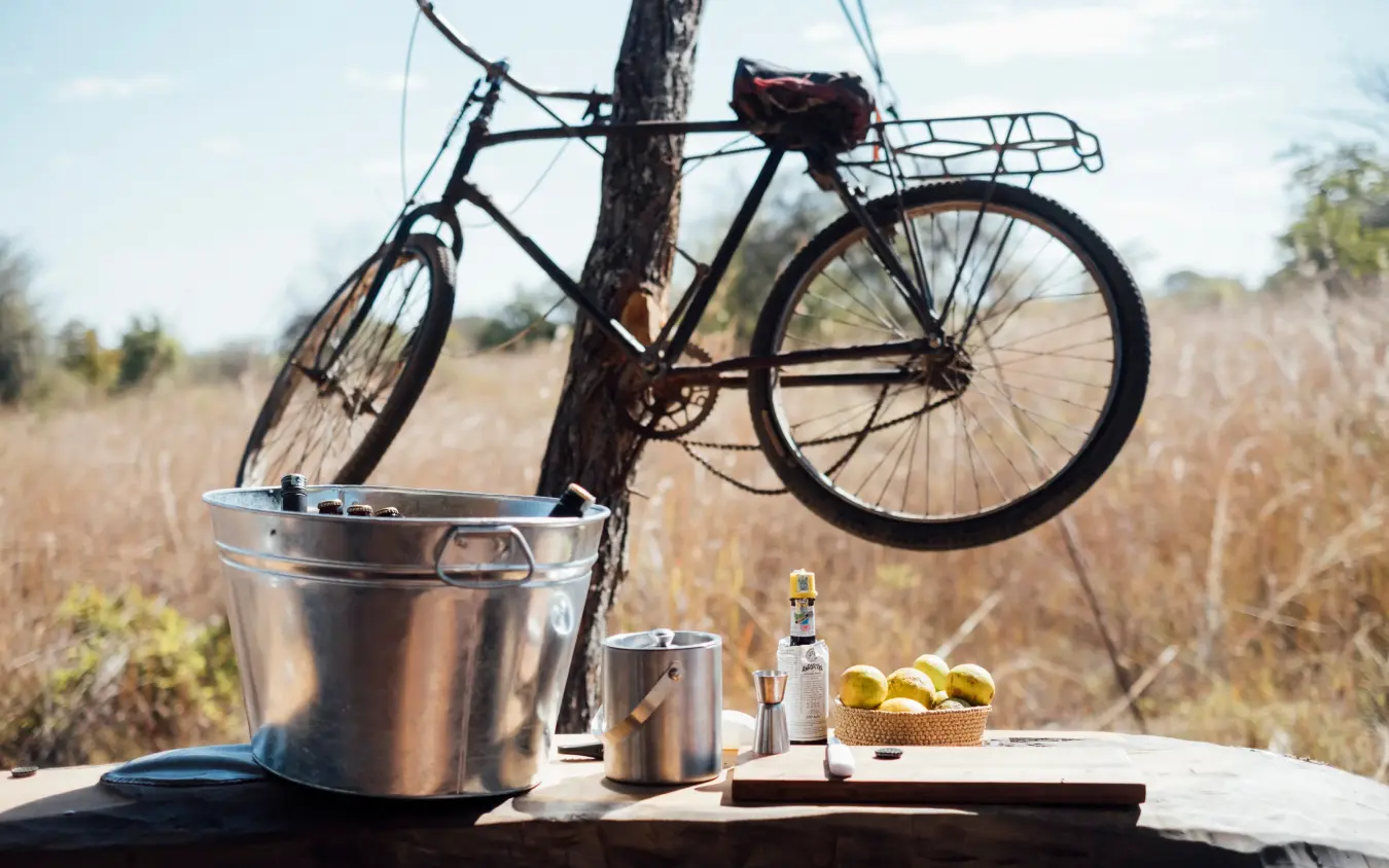 Bicycle leaned against tree with picnic setup, Usangu Expedition Camp, Ruaha National Park, Tanzania