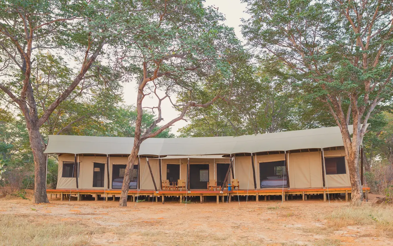 Luxury safari tent accommodation nestled among tall trees in woodland savanna, Verney’s Camp, Hwange National Park, Zimbabwe