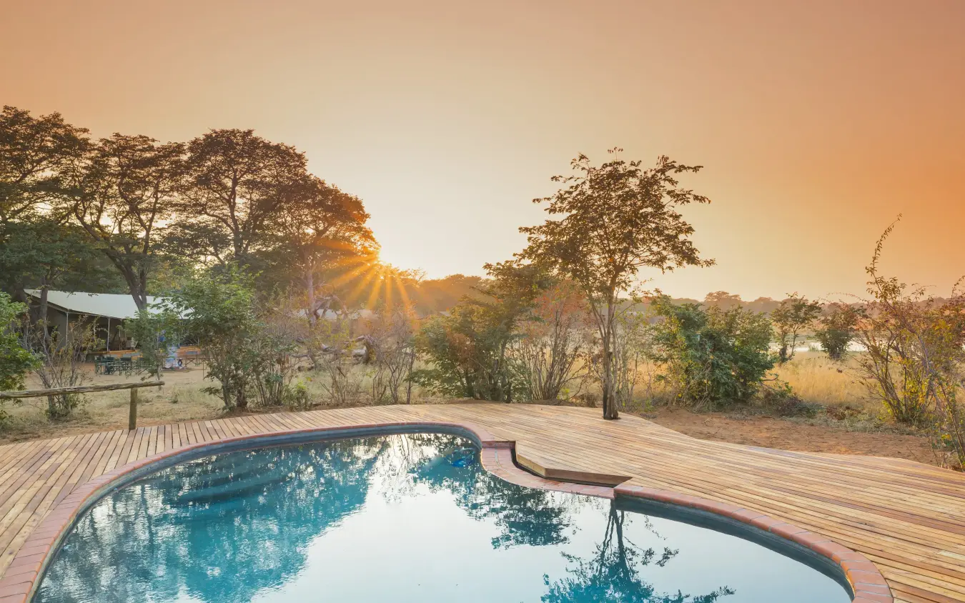 Infinity pool with wooden deck overlooking savanna woodland at sunset, Verney’s Camp, Hwange National Park, Zimbabwe