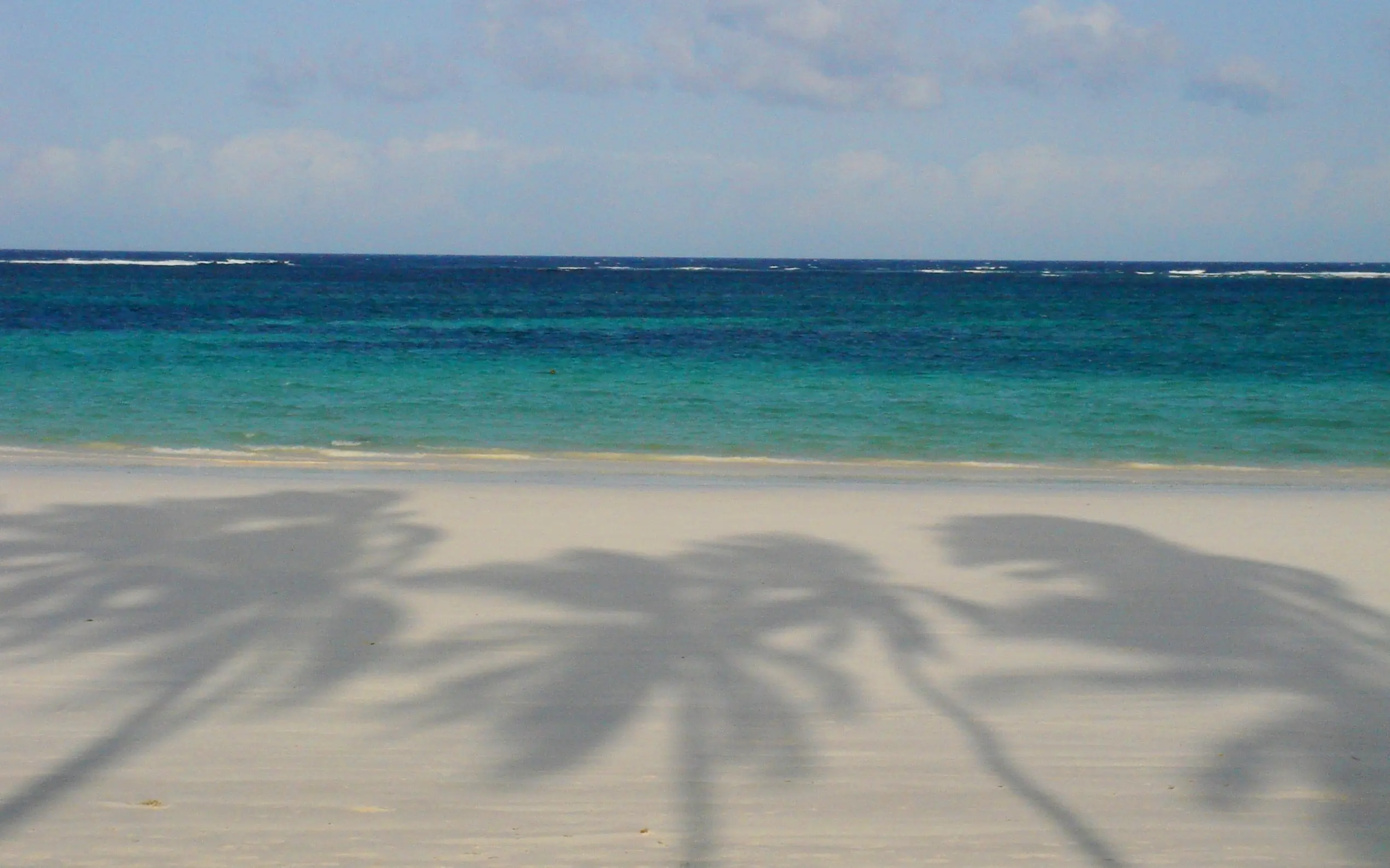 Palm tree shadows on pristine white sand beach, Kenya
