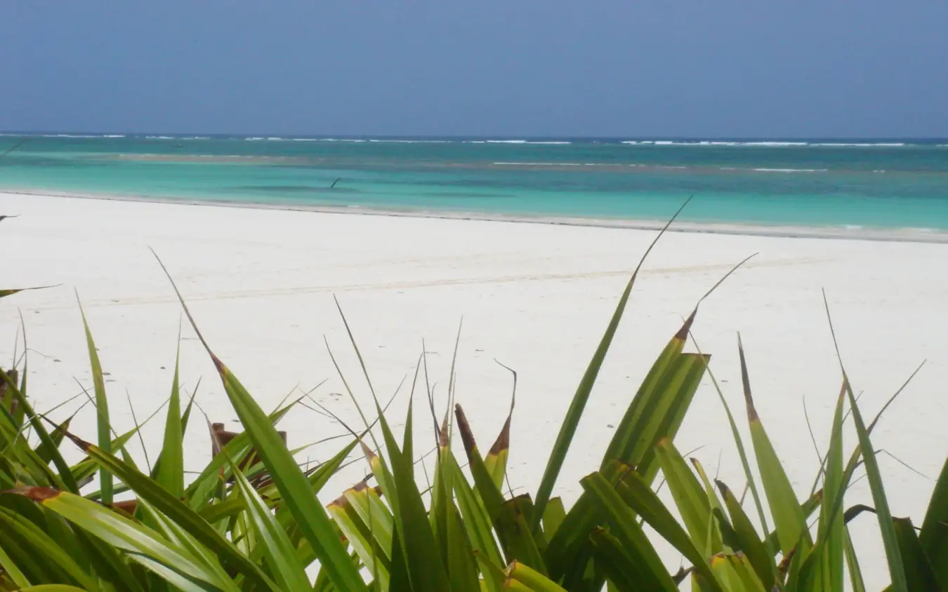 Tropical beach with white sand and turquoise waters, Waterlovers Beach Resort, Diani Beach, Kenya