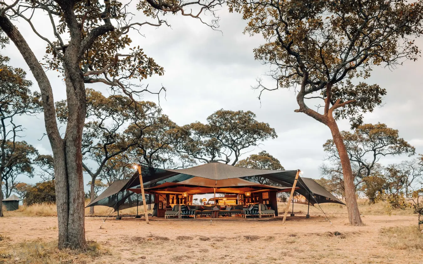 Safari camp with canvas tent beneath acacia trees, Serengeti Green Camp, Serengeti National Park, Tanzania