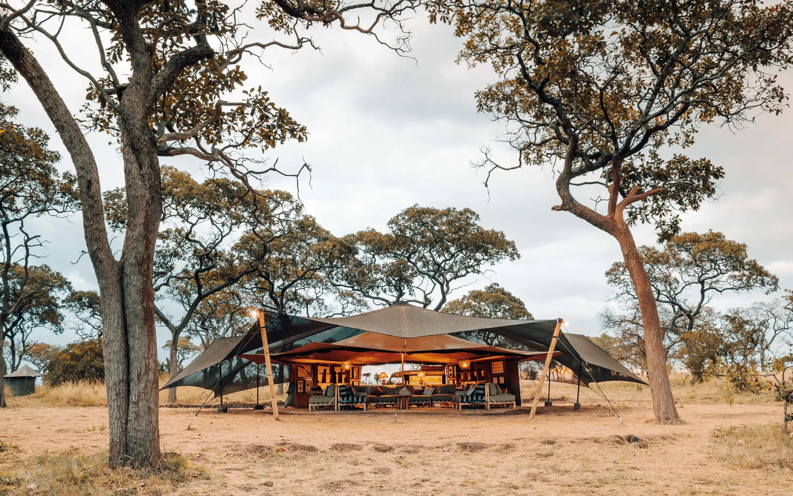 Safari camp with canvas tent beneath acacia trees, Serengeti Green Camp, Serengeti National Park, Tanzania