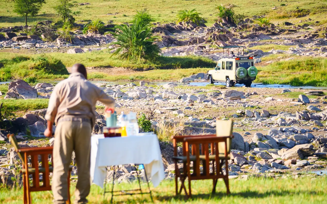 Guide preparing outdoor dining setup with wildlife viewing, Serengeti Green Camp, Serengeti National Park, Tanzania