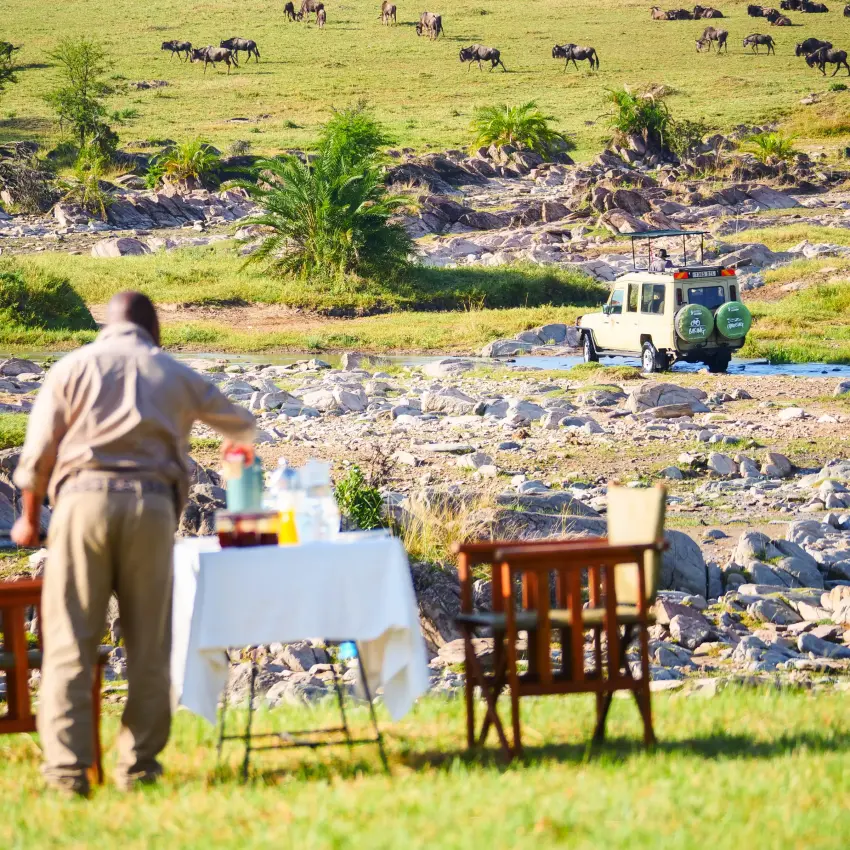 Guide preparing outdoor dining setup with wildlife viewing