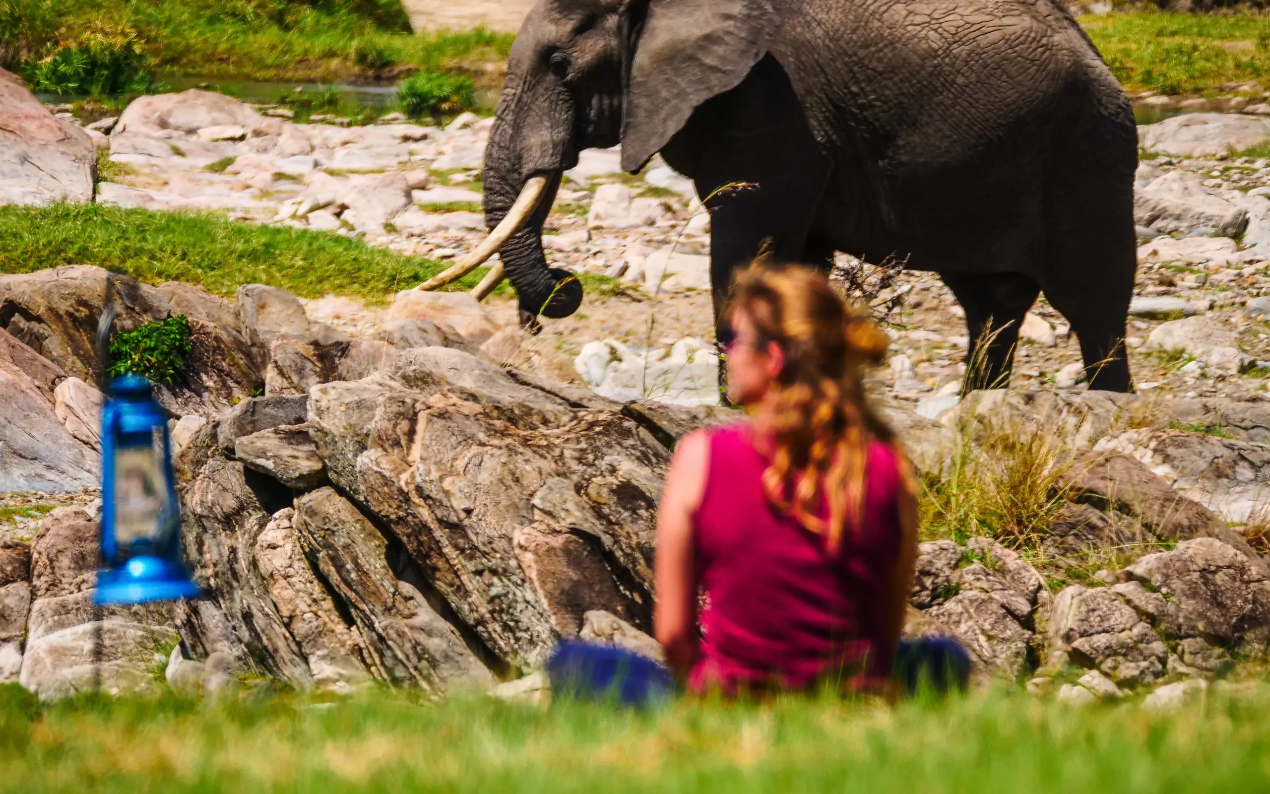 Guest observing elephant from safe distance near rocks, Serengeti Green Camp, Serengeti National Park, Tanzania