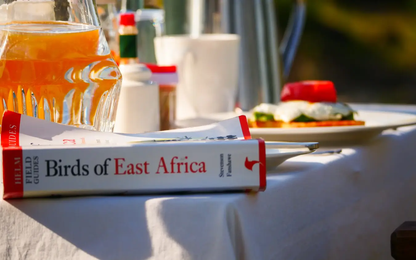 Table setting with field guide and refreshments outdoors, Serengeti Green Camp, Serengeti National Park, Tanzania