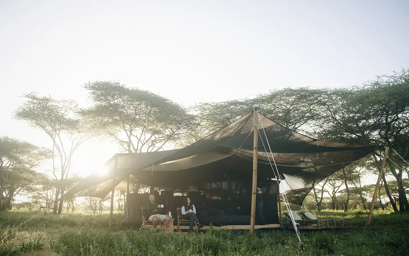 Canvas safari tent with awning beneath acacia trees, Serengeti Green Camp, Serengeti National Park, Tanzania