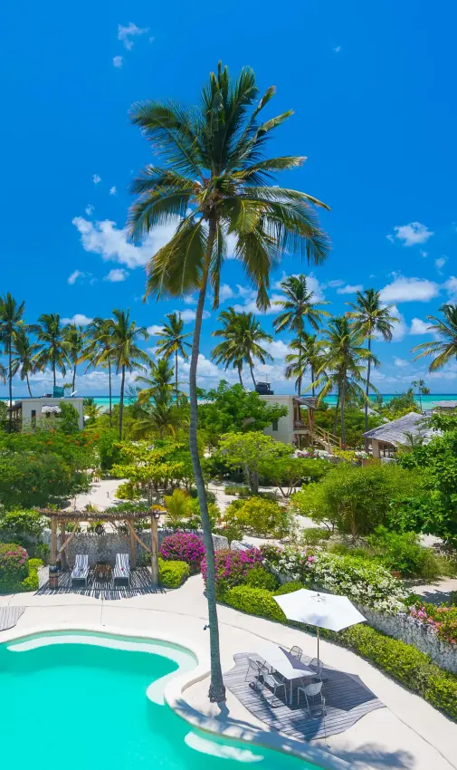 Curved swimming pool surrounded by tropical palms and gardens, White Sand Luxury Villas & Spa, Zanzibar & Pemba, Tanzania