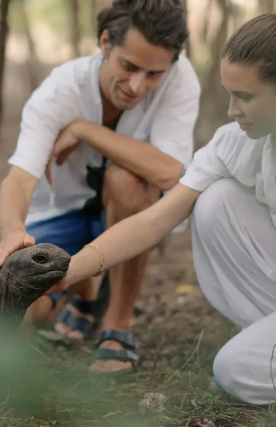 Guests interact with giant tortoise in natural habitat, Zanzibar & Pemba, Tanzania