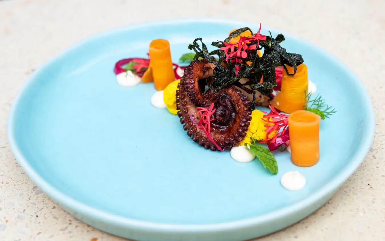 Plated octopus dish with colorful vegetables and garnishes, Xanadu Villas, Zanzibar & Pemba, Tanzania