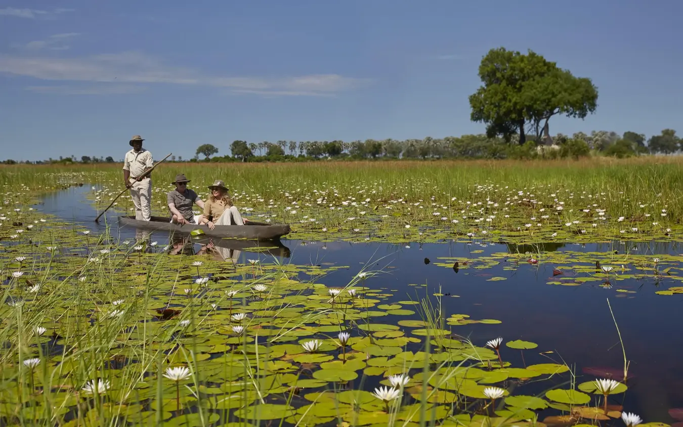 Guests poling traditional boat through lily pad wetland, Xigera Lodge, The Okavango Delta, Botswana